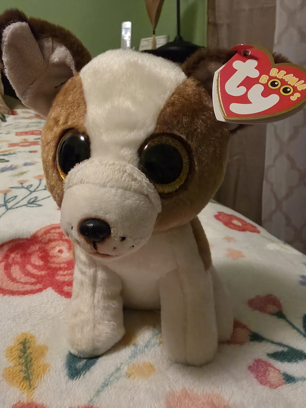TY Beanie Boos Brown & White Plush Dog - Soft Collectible Puppy
